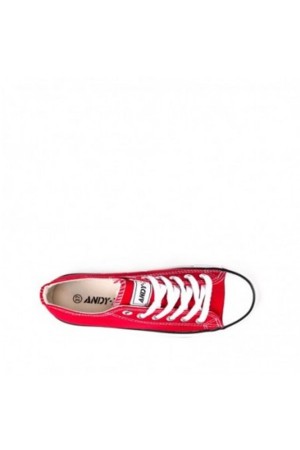 basket lona andy z varios 24068