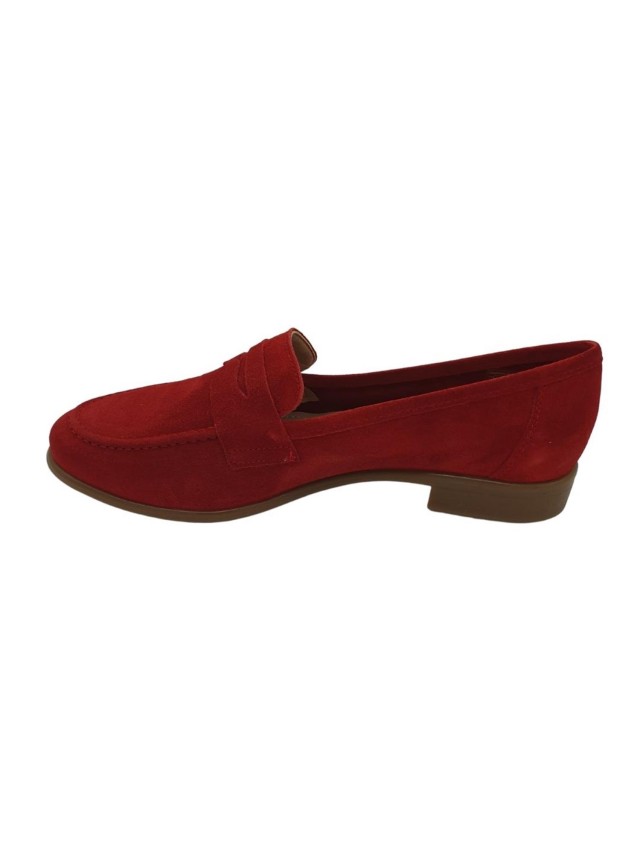 zapatos desiree varios moka3ante