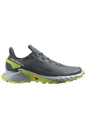 MONTAÑA HOMBRE SALOMON ALPHACROSS 4 GTX GRIS L47066700