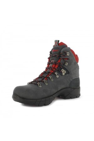 MONTAÑA HOMBRE CHIRUCA DYNAMIC 05 GORE TEX GRIS 4470005