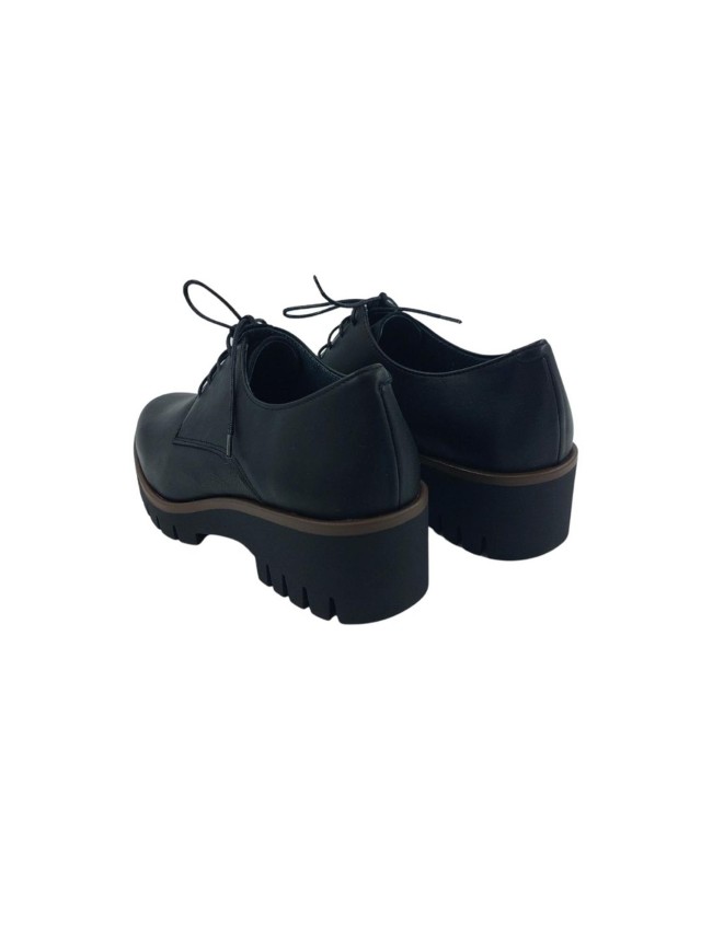 Zapatos otoño invierno mujer Lince...