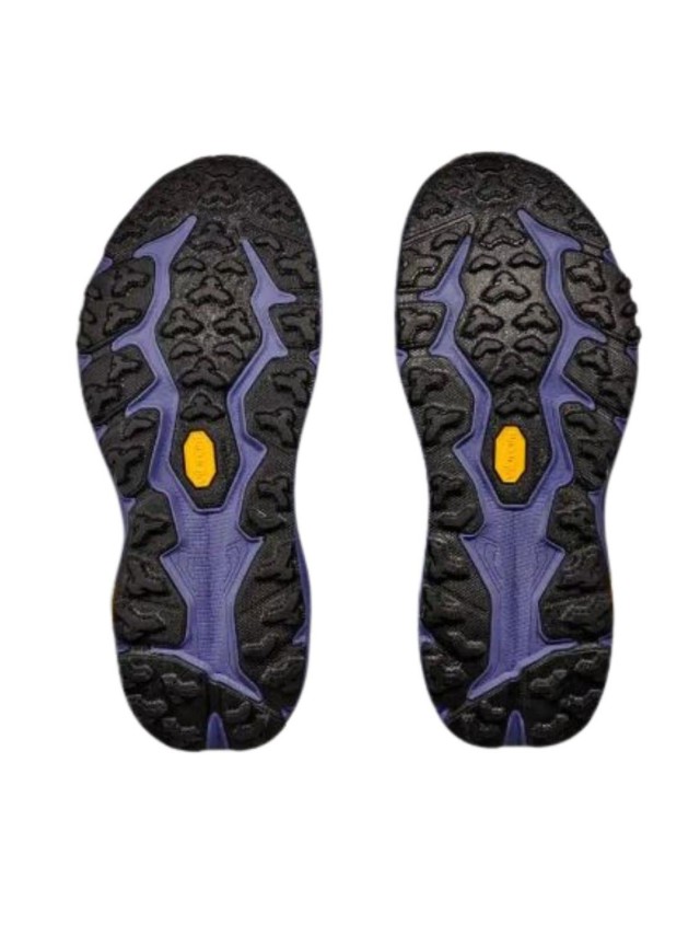 Deportivos Trekking Mujer Speedgoat 6...