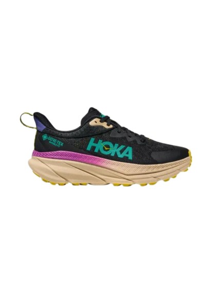 Deportivos Running Hombre Hoka Challenger 7 gtx negro...