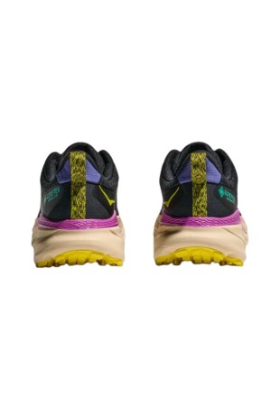 Deportivos Running Hombre Hoka Challenger 7 gtx negro 1134501FBKT
