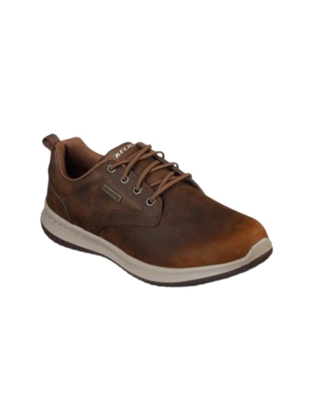 zapatos blucher skechers delson...