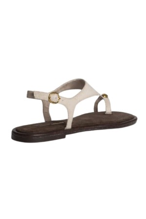 sandalias planas corina m6442 TAUPE