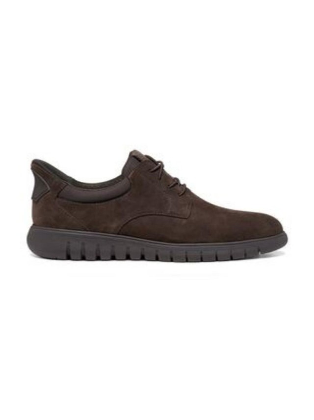 zapatos blucher geox u664ja MARRON...