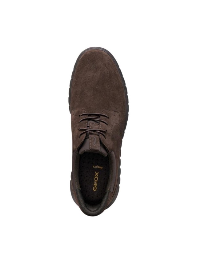 zapatos blucher geox u664ja MARRON...