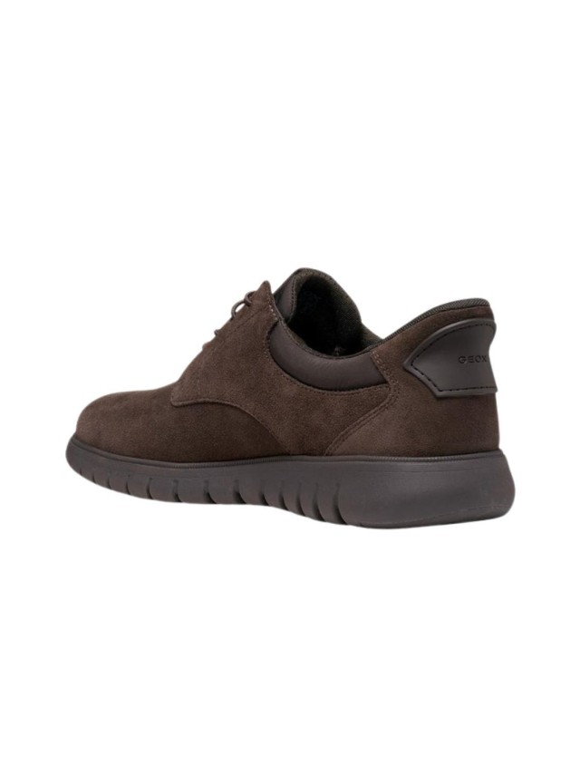 zapatos blucher geox u664ja MARRON...