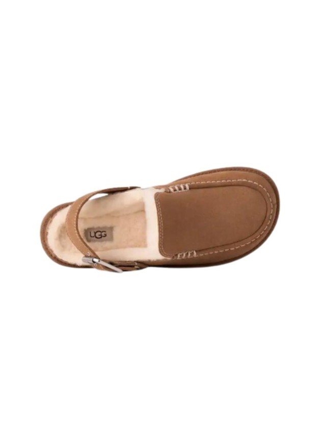 Zuecos UGG Mujer Chestnut Goldenstar...