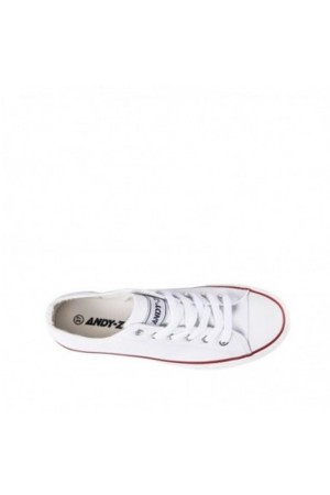 lonas   andyz   varios   21638